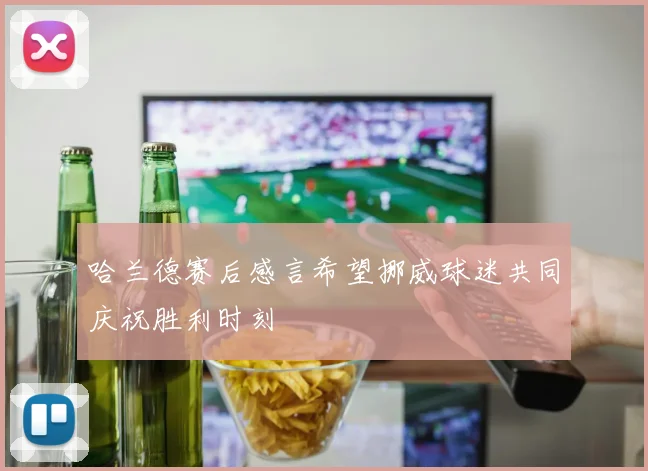哈兰德赛后感言希望挪威球迷共同庆祝胜利时刻